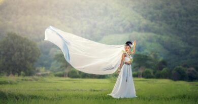 Pronovias – 2013 Elie by Elie Saab koleksiyonu