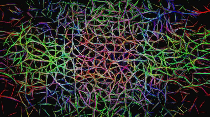Günün stili: 2013 neon modası
