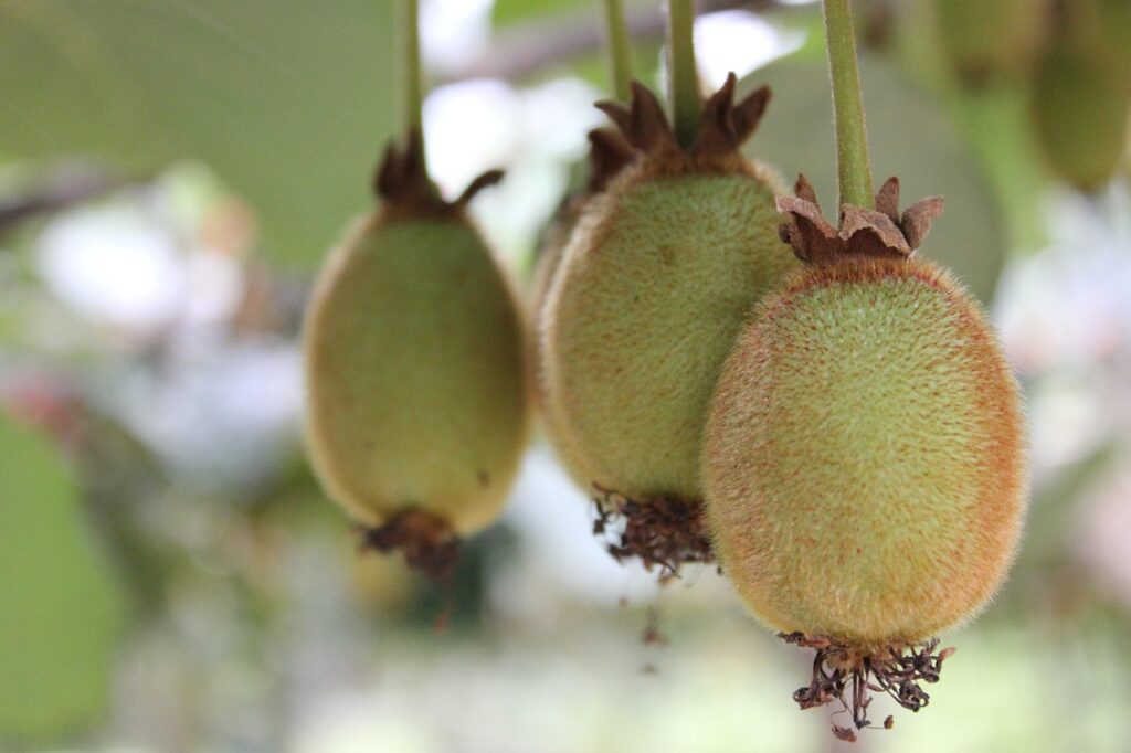 Saçlarınız İçin Mango, Cildiniz İçin Kivi Tüketin !