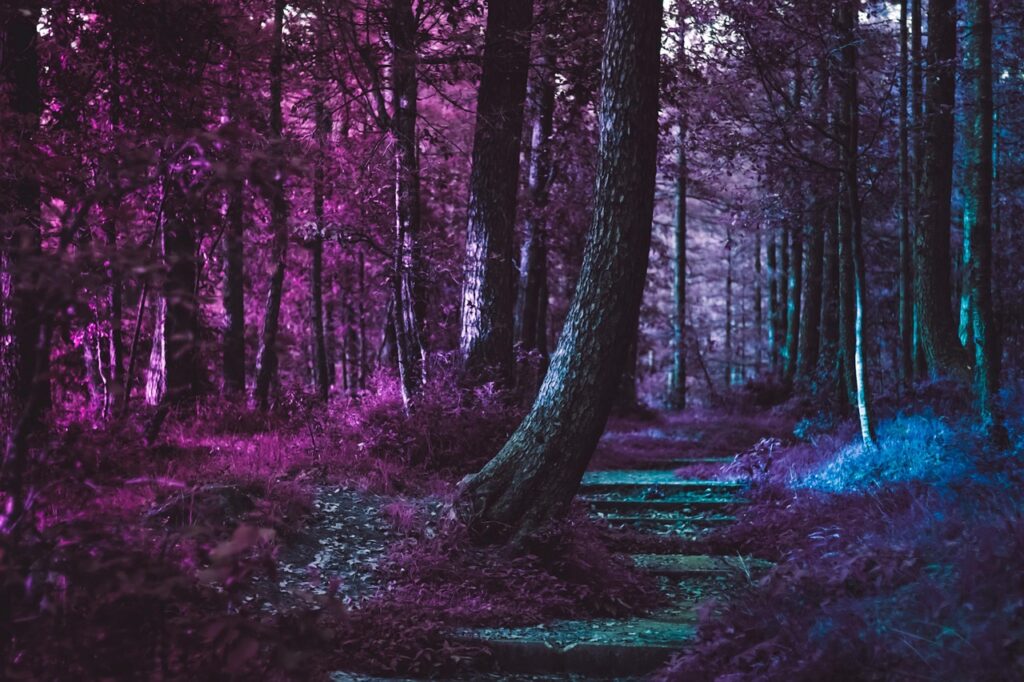 Pantone 2018′ in rengi: Ultra Violet