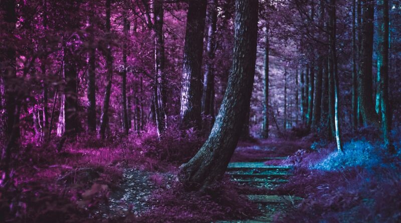 Pantone 2018′ in rengi: Ultra Violet