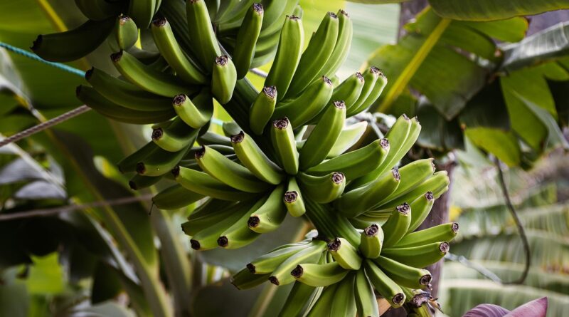 Muzlu peeling tarifleri