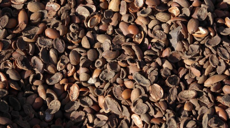 Argan yağının cilde 5 önemli faydası